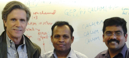 Kevin Foskett (left), Muniswamy Madesh (middle) and first author Karthik Mallilankaraman (right)